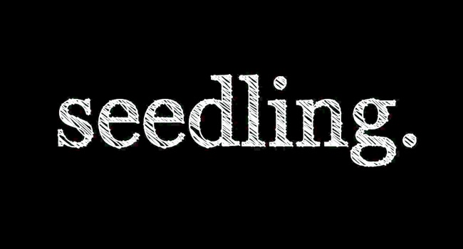 Seedling